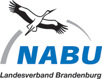 Logo NABU Brandenburg